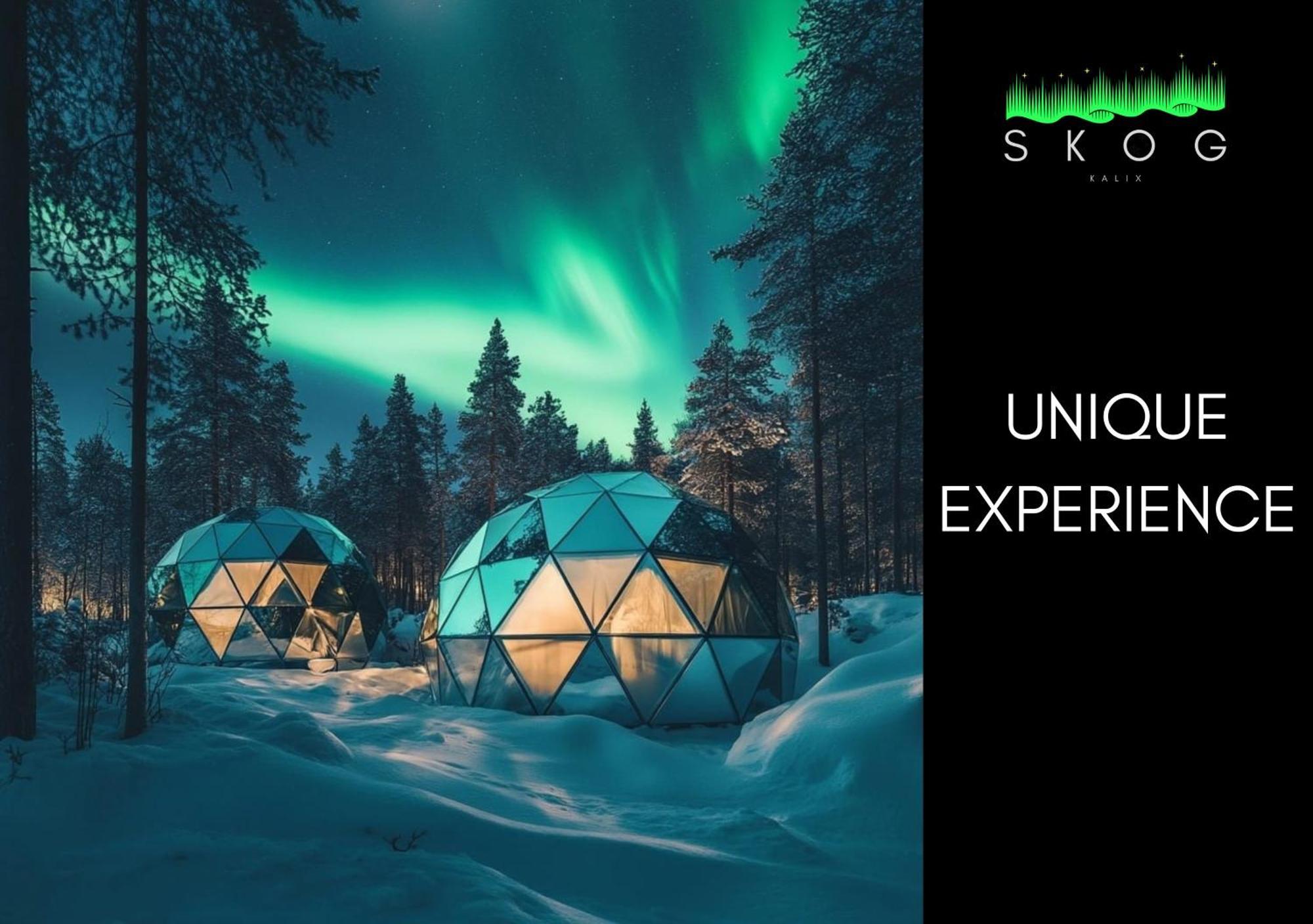 Skog Aurora Igloos Kalix Exterior foto