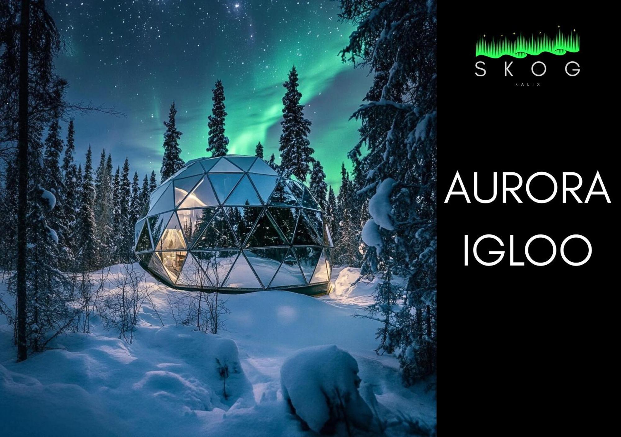 Skog Aurora Igloos Kalix Exterior foto