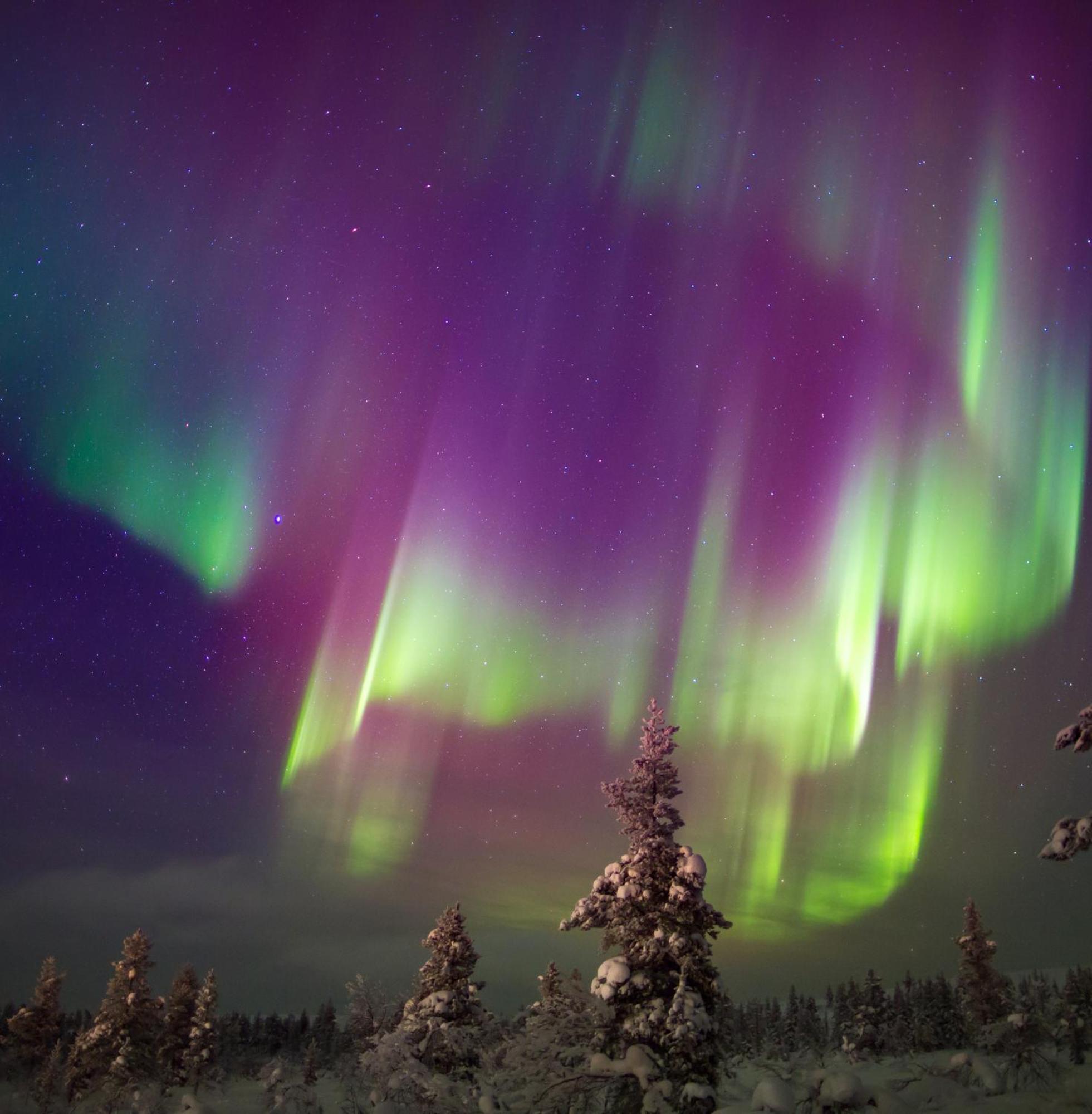 Skog Aurora Igloos Kalix Exterior foto