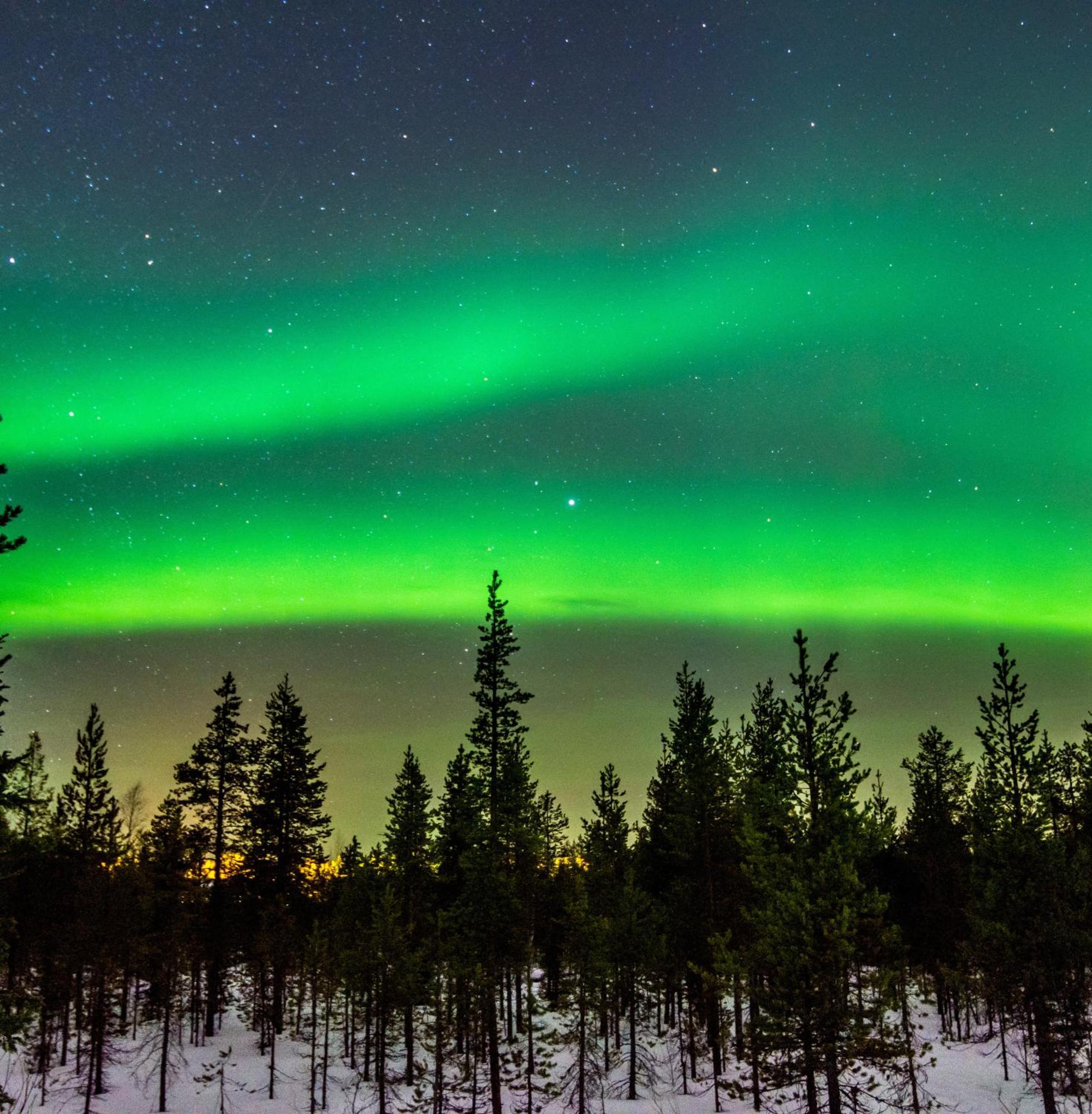 Skog Aurora Igloos Kalix Exterior foto