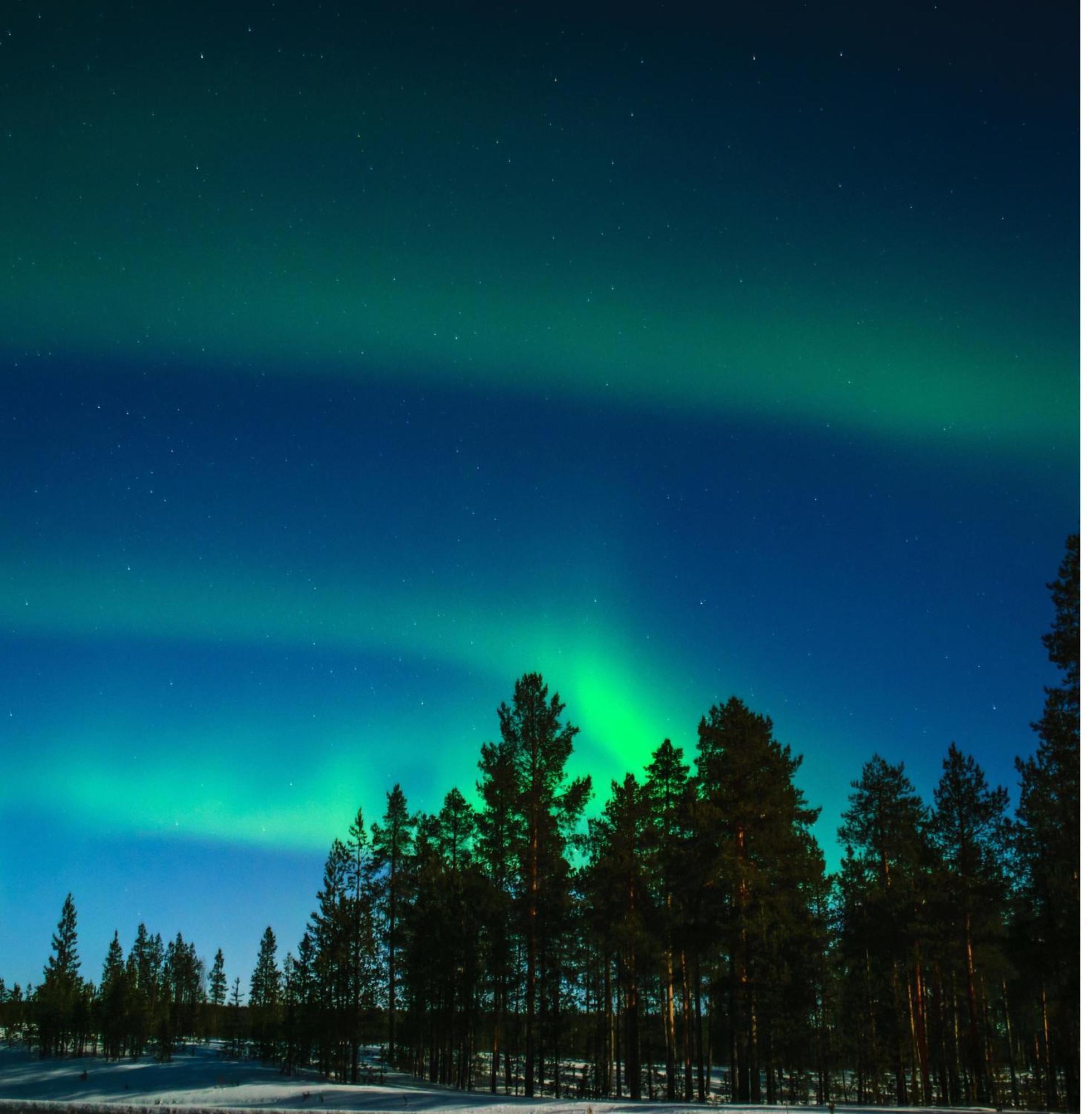 Skog Aurora Igloos Kalix Exterior foto