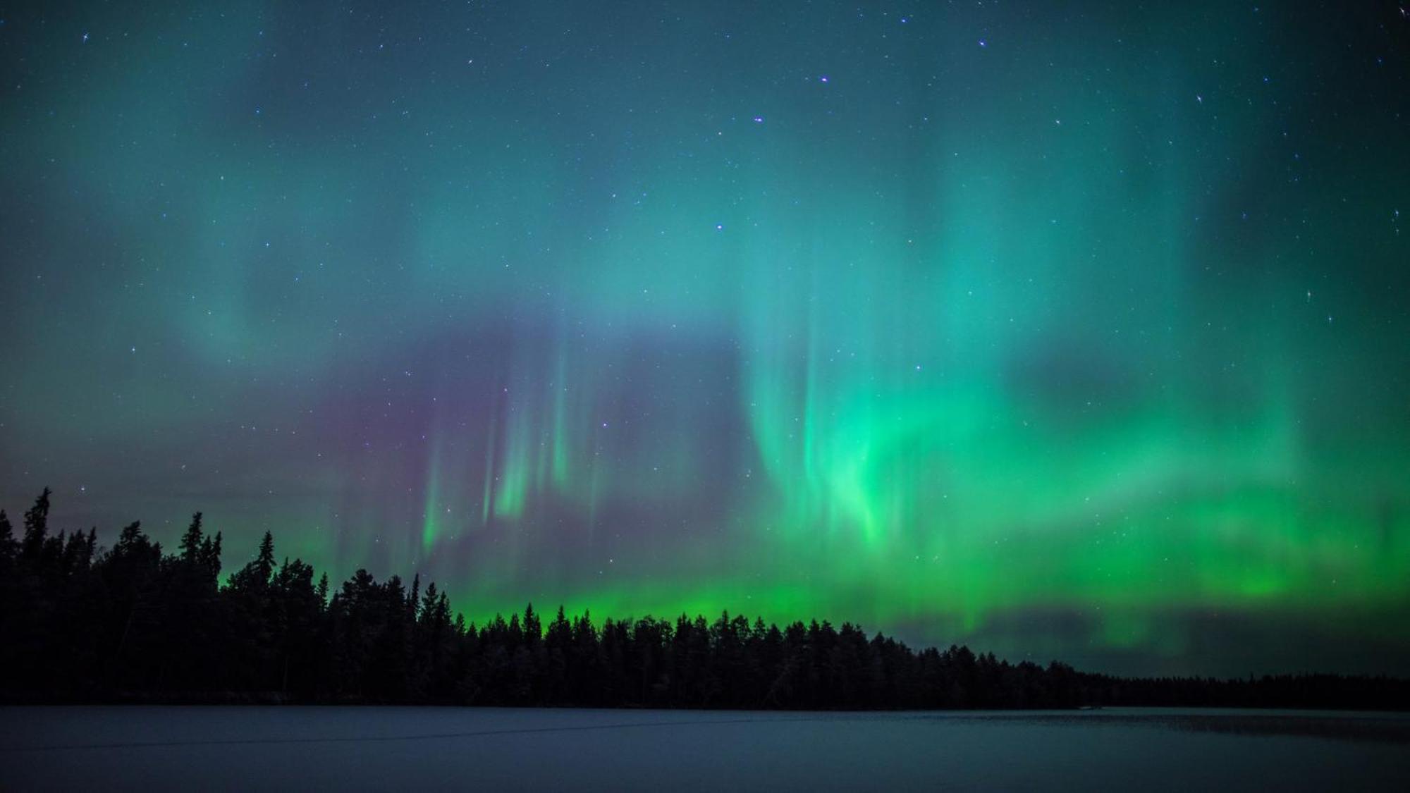 Skog Aurora Igloos Kalix Exterior foto