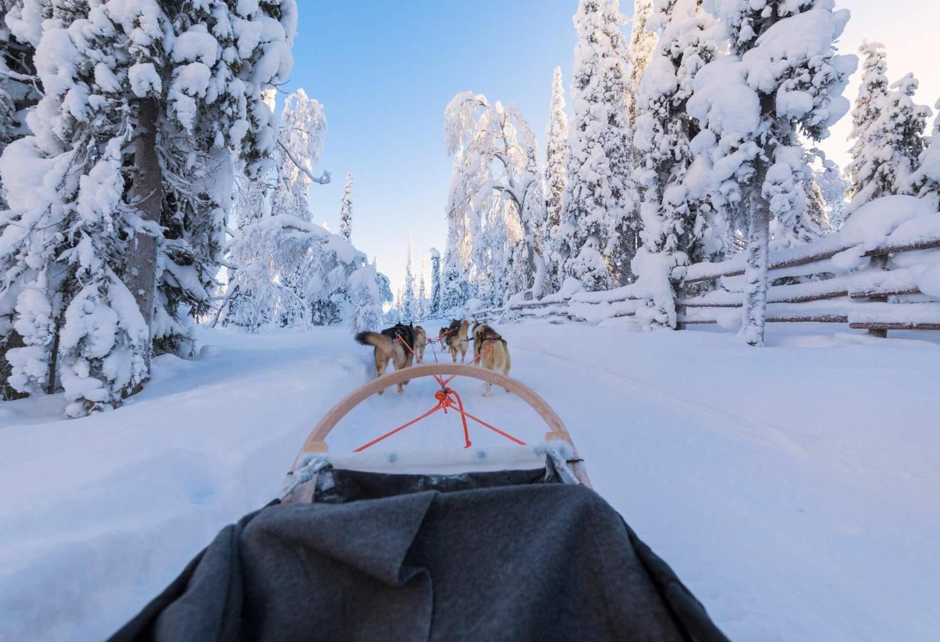 Skog Aurora Igloos Kalix Exterior foto